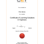 Rob McNeilly - Certificate of Learning Solutions in Hypnosis